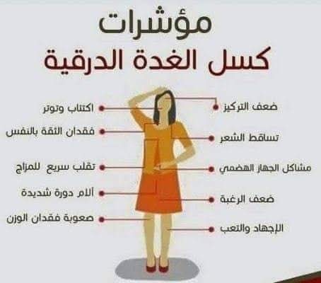 FB_IMG_1777245259060