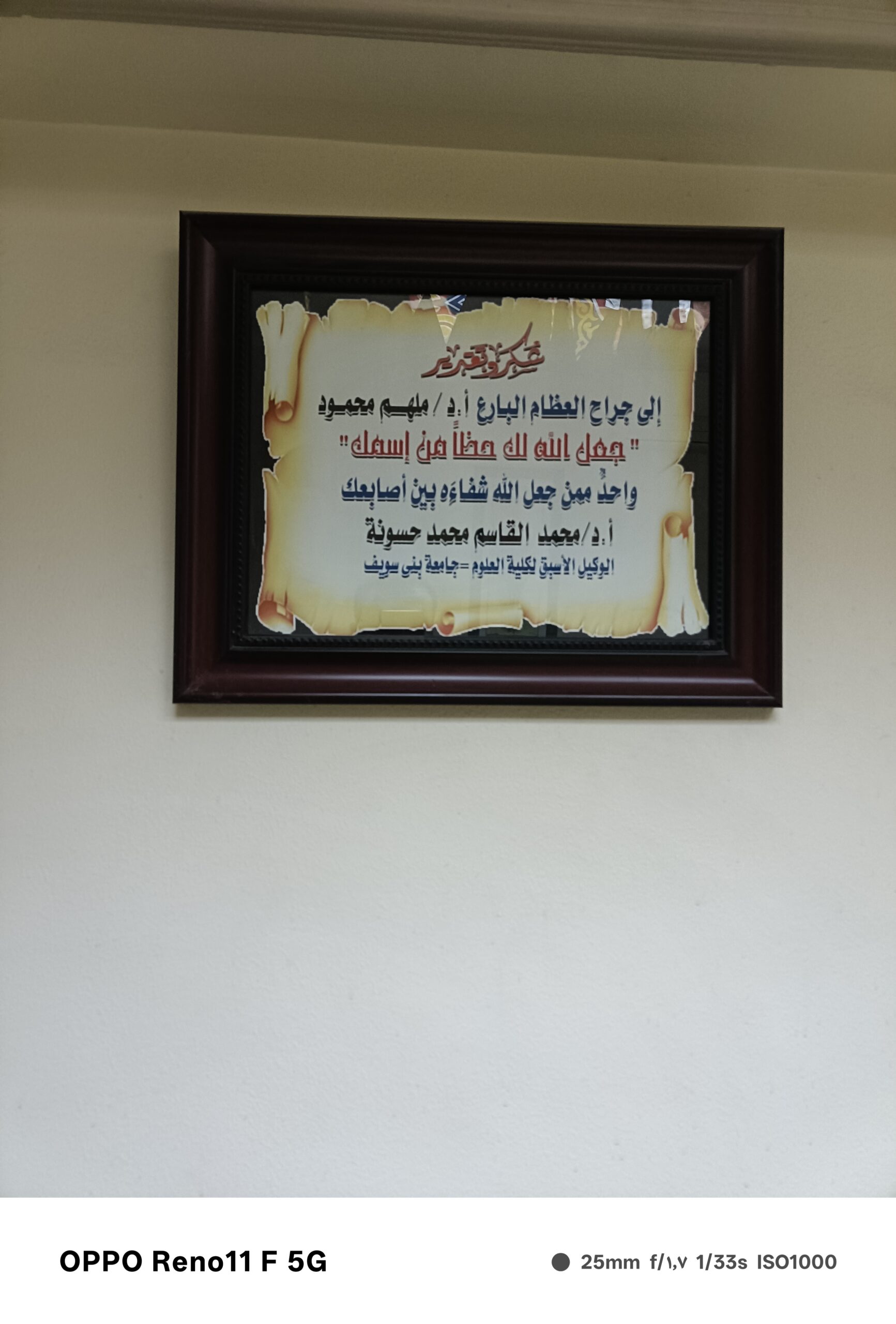 oplus_131104