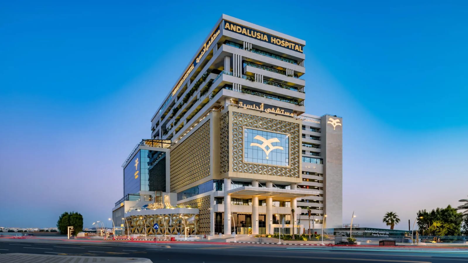 افضل رعاية مركزة في اسكندرية مستشفى أندلسية